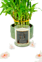 Load image into Gallery viewer, Japanese Cherry Blossom